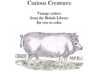 Curious Creatures - Another Printable Instant Download Coloring Book