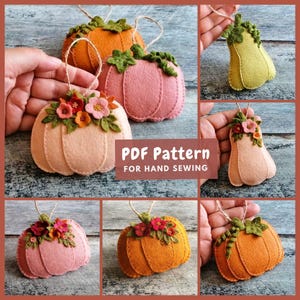 May include: A set of six felt pumpkin ornaments with floral details. The pumpkins are in shades of orange, peach, and pink. The ornaments are perfect for fall decorating.