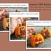 Pattern Bundle for Felt Pumpkin Ornaments PDF Tutorial &amp; Pattern for ...