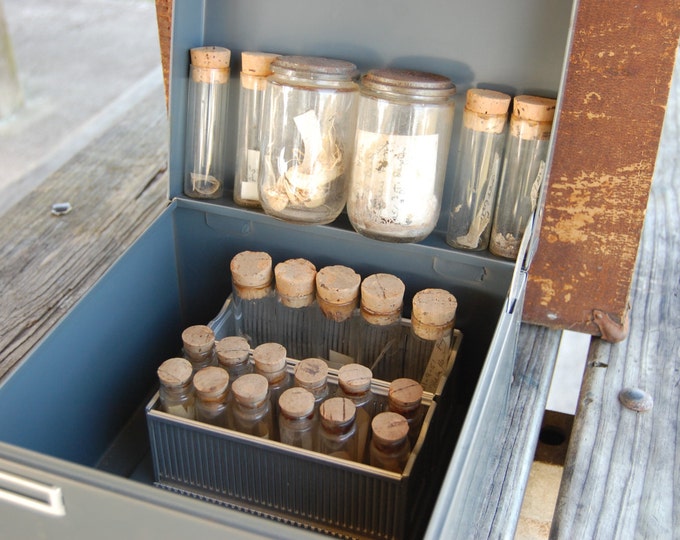 Vintage Science Lab Specimen Glass Jars and Tubes Entomology Etsy