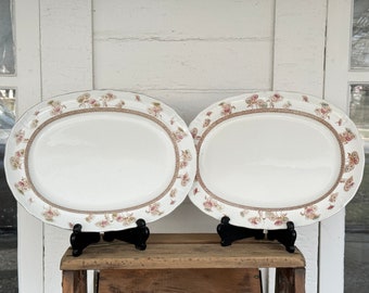 2 antique ironstone platters ~ matching ironstone platters from England ~ circa 1895-1913 ~ Furnivals Daisy pattern ~ farmhouse antiques