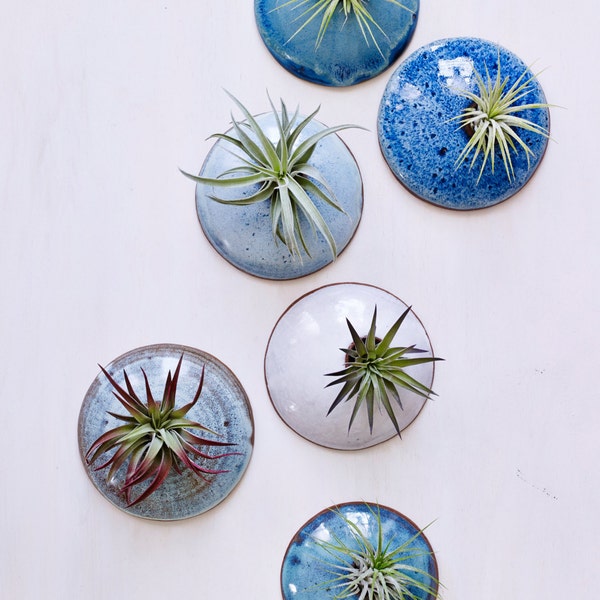 Customized Set of Glazed Wall Planters MADE TO ORDER.  Wall Planters for Air Plants in Ocean tones.