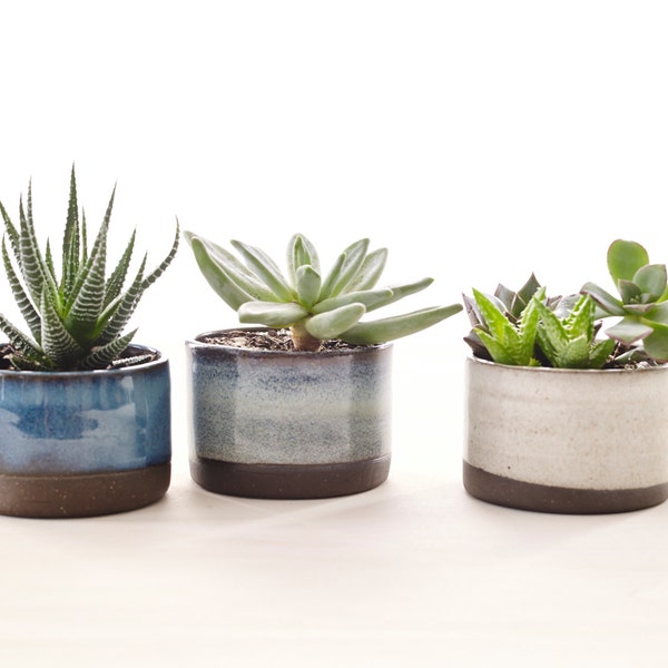 Set of Three Ceramic Planters for Succulents