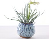 Small Pinched Planter for Air Plants Glaze Opal MADE TO ORDER