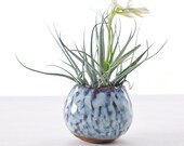 Petit planteur pincé pour Air plantes Glaze opale sur mesure