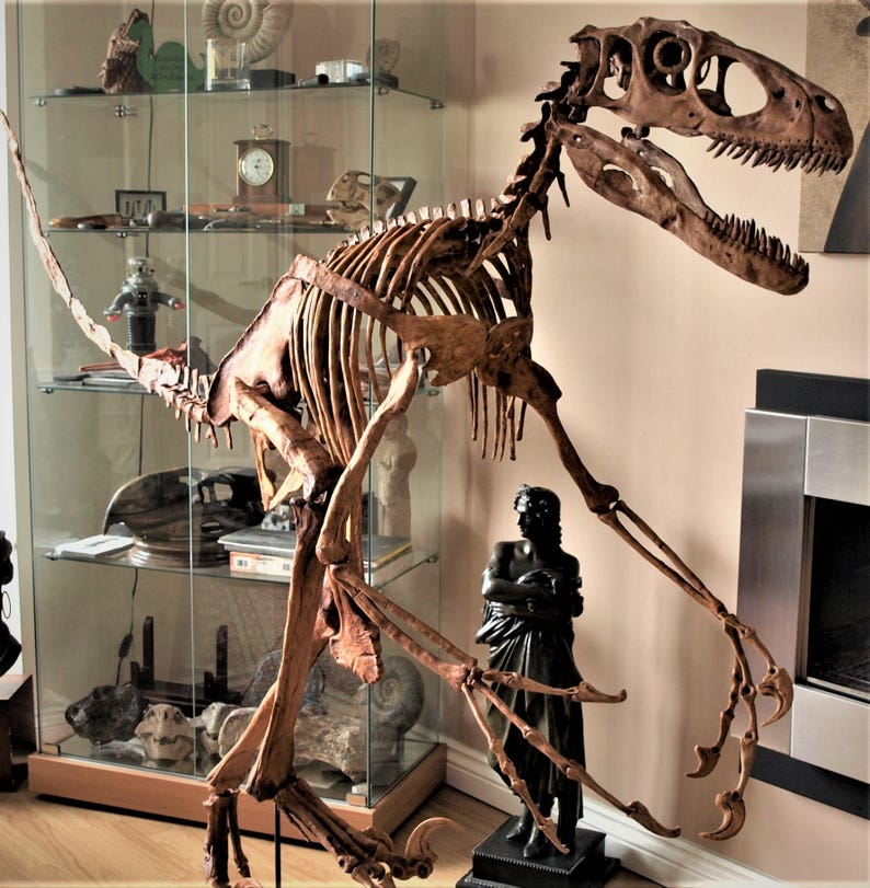 DEINONYCHUS RAPTOR Dinosaur Skeleton Fossil Replica 9 1/2 Etsy UK