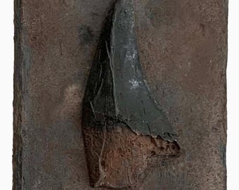 TYRANNOSAURUS REX dinosaur tooth replica T rex - as seen on TV - dinosaur fossil replicas LL7 250