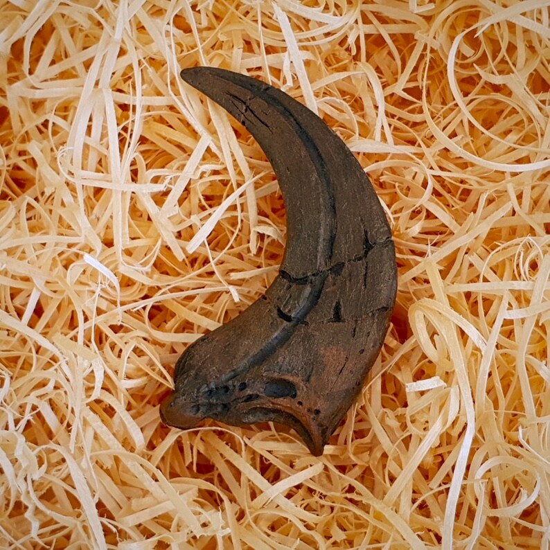 Deadly RAPTOR Dinosaur Claw Velociraptor fossil replica | Etsy