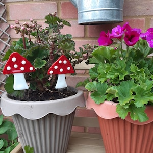 TOAD STOOL GLASS Ornaments Garden Quirky Toad Stools Fused Glass Gift For Gardeners House Plants