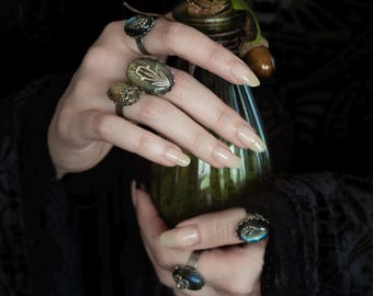 Anillos de Elaria II