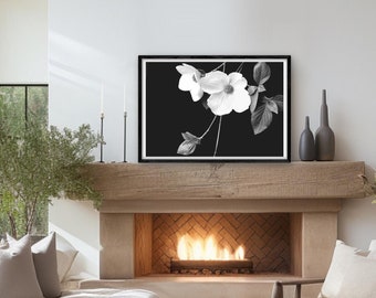 Fotografia in bianco e nero Grande Wall Art Download digitale Arte stampabile