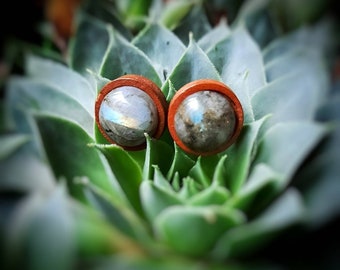 Labradorite & Wood Stud Earrings | 1/2 Inch Gemstone Earrings | Stainless Steel Posts