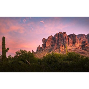May include: A panoramic view of a desert landscape with a large mountain range in the background. The sky is a vibrant pink and purple, and the mountains are a reddish-brown color. There are several cacti and other desert plants in the foreground.