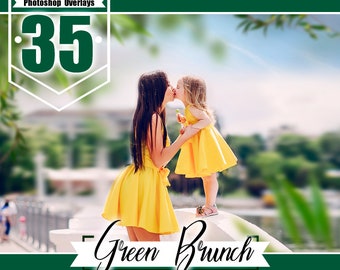 35 green branch photoshop overlays, shooting through branches, tree, green, leaves, summer, spring, summer wedding baby photo, PNG files