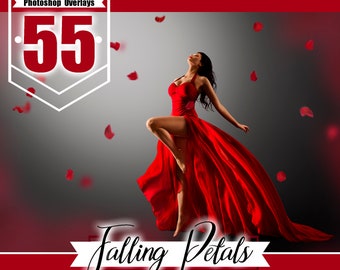55  Falling Petals Photo Overlays, photoshop overlays, valentine overlays, red rose petals, rose overlays, fluttering petals, png file