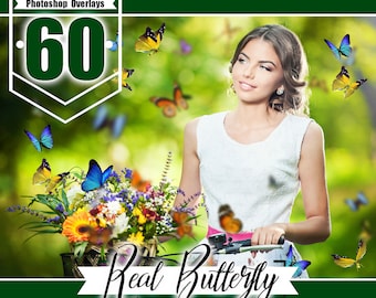 60 Butterfly Overlays Photoshop, photography overlays, natural flying Butterflies, spring summet session, digital overlays,  png file