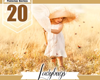 20 ladybug Photo Overlays, Photoshop overlay, butterfly, photoshop effects, magic overlays, photo edit, digital overlays, png file