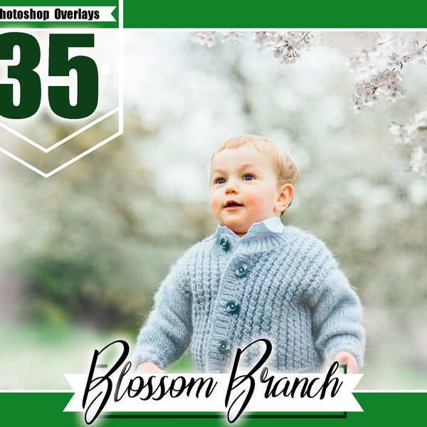 35 blossom branch Photoshop Overlays, flowering trees, Blur Photo for Photographers, spring summer Photo Overlays, png