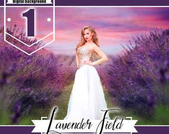 Lavender Fields Backdrop Download, Photoshop overlay, Digital background backgdrp, flower, summer, Photography Backgrounds & Backdrops