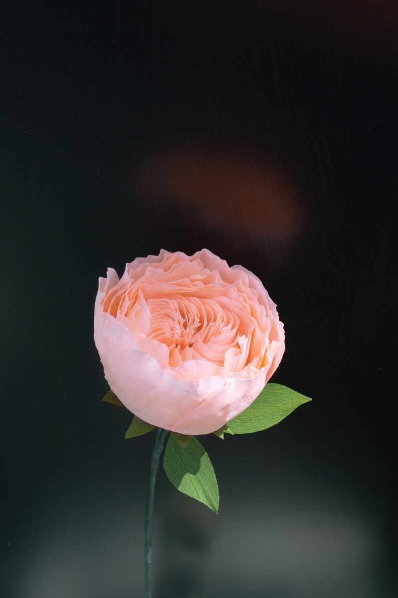 Handmade Juliet Garden Rose Paper Crepe Rose 100 Handmade Etsy