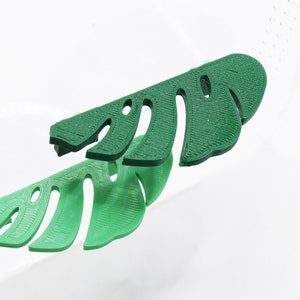Magnetic PLA Monstera Leaf Ledge: Jumping Spider Platform