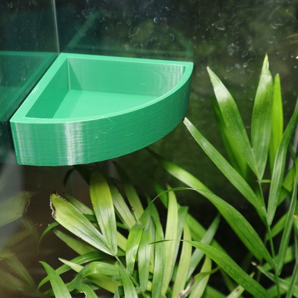 Magnetic Corner Feeding Ledge For Jumping Spiders, Mourning Geckos, Dart Frogs, Tarantulas & more