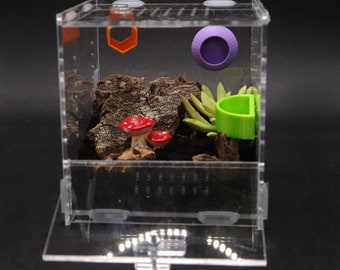 Cube Enclosure Jumping Spider, Tarantula & Inverts | Various Sizes