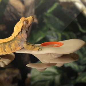 Magnetische voederrand voor paddenstoelen | Voor kuifgekko&#39;s, daggekko&#39;s en meer | 3D-geprint