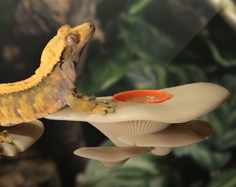 Magnetic Mushroom Feeding Ledge | For Crested Geckos, Day Geckos & More | 3D Printed