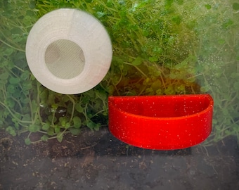 Magnetic Jumping Spider Arboreal Hide / Home & Feeding Platform Set | Various Colours!