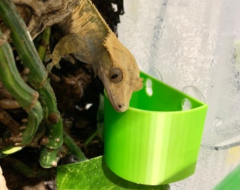 Escape-Proof Arboreal Worm Dish Great For Geckos, Chameleons, Frogs