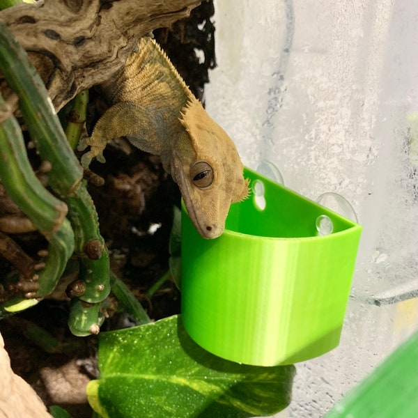 Escape-Proof Arboreal Worm Dish Great For Geckos, Chameleons, Frogs