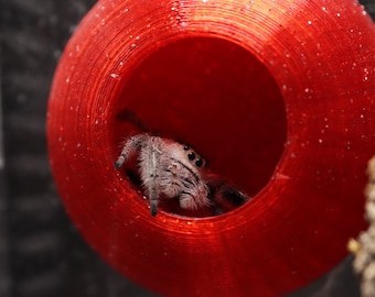 Jumping Spider Arboreal Hide / Home / Nest | 3D Printed Arachnid or Invert Hide | Magnetic