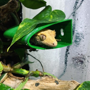 Tunnel Ledge Hide For Crested, Gargoyle, Day, Mossy Geckos, Arboreal Frogs, Snakes, Lizards & More | Suction Cup 3D Printed