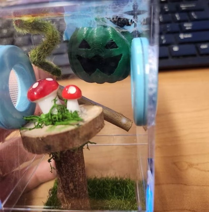 May include: A clear plastic cube terrarium with a green pumpkin with a carved jack-o'-lantern face, two red and white mushrooms, a small wooden log, and green moss.