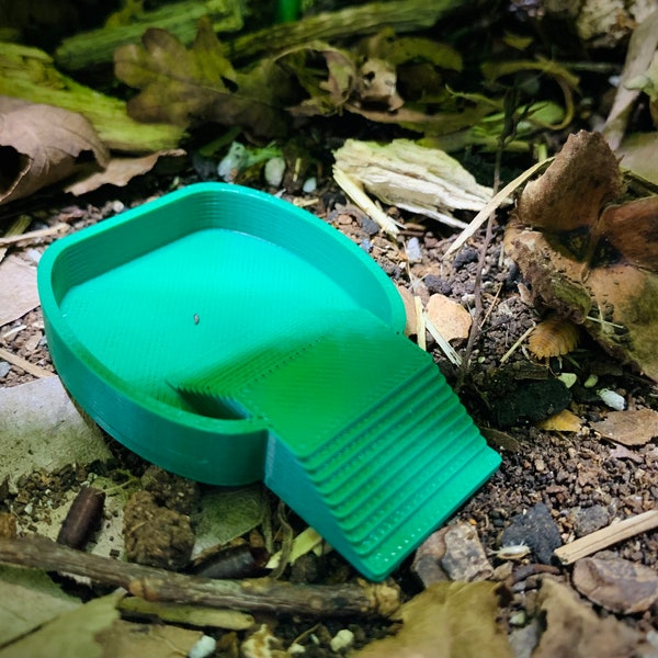 Isopod/Snail Food Bowl With Ramp | Clean Up Crew, Feeder Insects, Woodlice