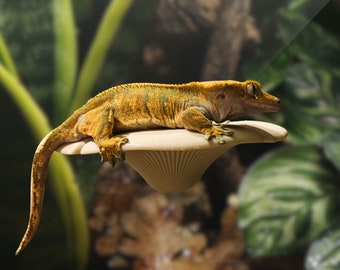 May include: A yellow and brown gecko lizard perched on a white mushroom-shaped stand. The gecko has a long tail and is resting on the stand with its front legs.