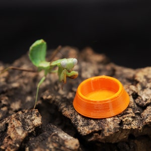 3D-geprinte kleine kommen: vogelspin, spin, Isopod-voerschaaltje