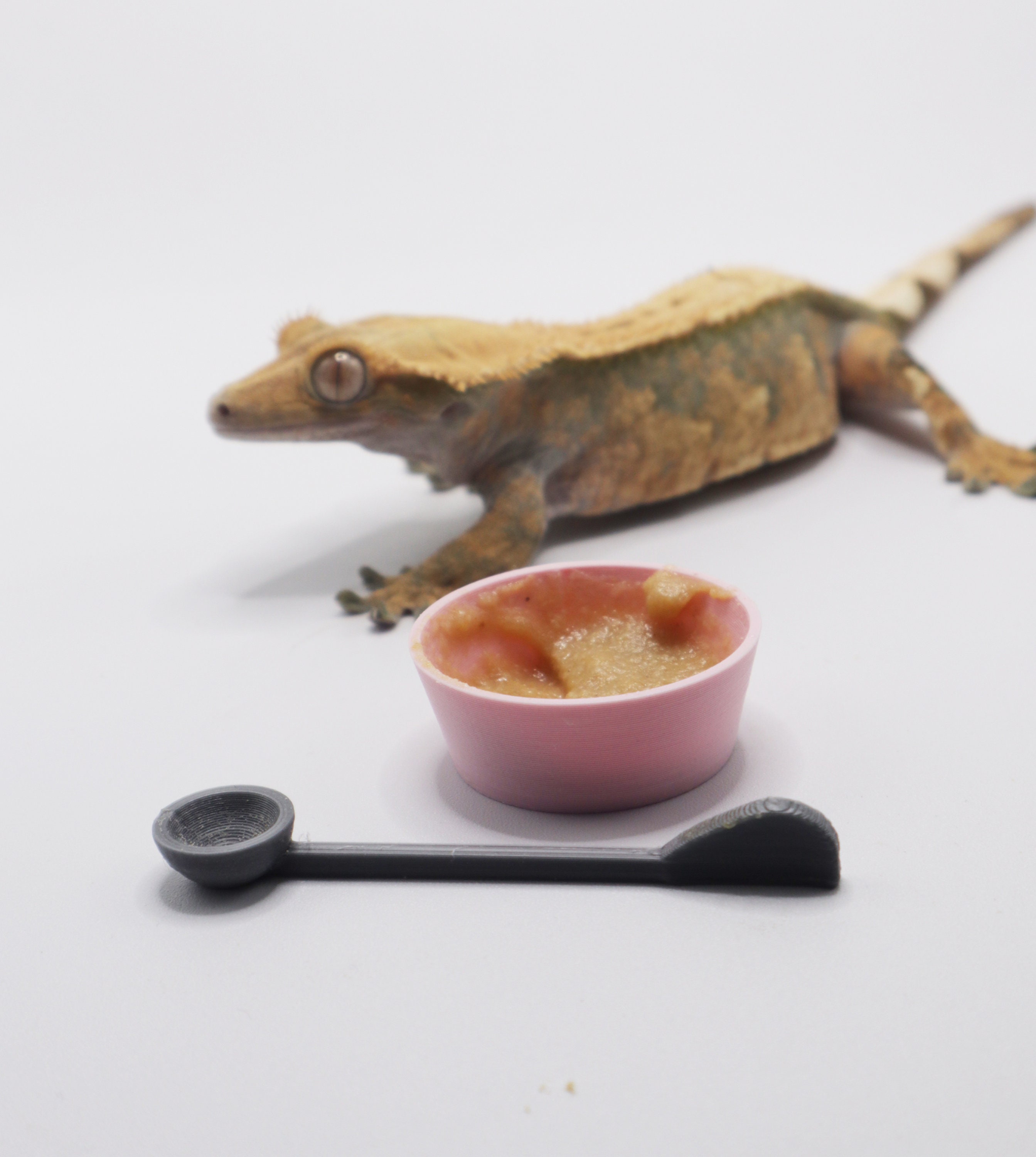 Gecko-Fütterungslöffel Mit Silber-Spatel – 2 Stück, Für Reptilien Wie Bartagamen, Chamäleons & Amphibien
