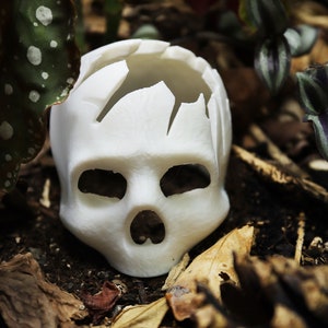 3D Printed Skull Hide | Tank Decoration | Tarantulas, Dart Frogs, Mourning Geckos, Spiders & More