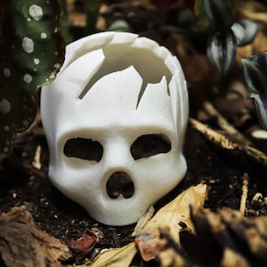 3D Printed Skull Hide: Reptile & Arachnid Tank Decoration