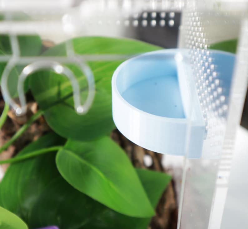 May include: A light blue plastic water dish for small animals, such as reptiles or amphibians, is attached to the side of a clear plastic terrarium.