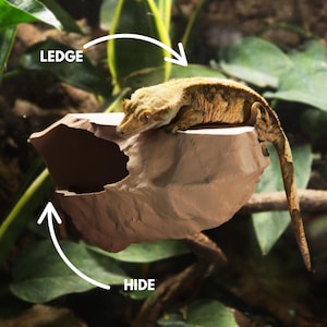 Magnetic Rocky Ledge Hide For Arboreal Frogs, Geckos & More | Various Colours