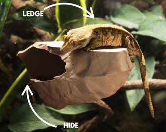 Magnetic Rocky Ledge Hide For Arboreal Frogs, Geckos & More | Various Colours