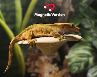 Magnetische Pilzleiste für Geckos, Frösche & mehr | Verschiedene Farben erhältlich