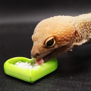 3 X ハート型カルシウム / フードボウル - 多目的爬虫類 & 虫用皿 | 3D プリント | さまざまな色