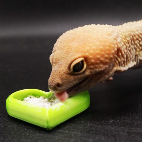 3D Printed Heart Reptile Food Bowl: Calcium Dish, Bug Feeder (Set of 3)
