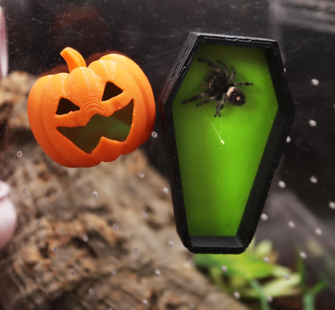 Araña saltarina espeluznante, escondite magnético y decoraciones