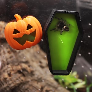 Spooky Jumping Spider Magnetic Hide & Decorations | Pumpkin and Coffin
