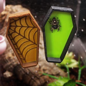 Magnetic Casket/Coffin Jumping Spider & Invert Hide | Halloween Decoration